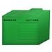 齐心 纸质文件分类夹 (绿) A4 10个/包  A1810