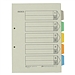 锦宫 彩色再生纸质分类索引 (彩色) 10套/包 A4 5级  907GS