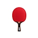 得力 安格耐特一星乒乓球拍 (正红反黑) 单支装  F2311横拍