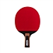 得力 安格耐特一星乒乓球拍 (正红反黑) 单支装  F2321直拍