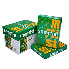 达伯埃 smartist 复印纸 (白色) 5包/箱  A4 70g