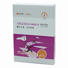 大地 紫复印纸 (白) 5包/箱  A3 80g