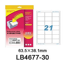 裕睿宝 多功能电脑打印标签(圆角) (白) 63.5*38.1mm  LB4677-30