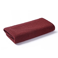 国产 逸畅超细纤维纳米毛巾 咖啡色 10条 35*75cm