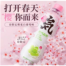 元气森林 气泡樱花白葡萄味饮料 480ml*15