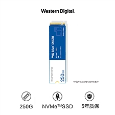西部数据 SSD固态硬盘 M.2接口(NVMe协议)SN570 250GB 四通道PCIe 高速  WDS250G3B0C