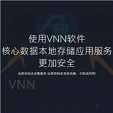软众 VNN远程服务器