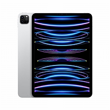 苹果 Apple iPad Pro 11寸WIFI平板电脑 2022款 (银