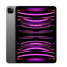 苹果 Apple iPad Pro 11英寸平板电脑 (深空灰) 202