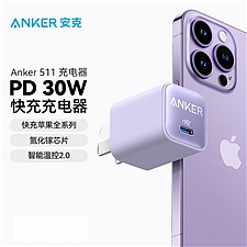 安克 Anker 安芯充Pro苹果充电器氮化镓 (紫色) 快