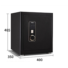 迪堡 PH系列保险柜 单门 (磨砂黑色) 指纹+密码  FDX-A/D-45PH5Z1