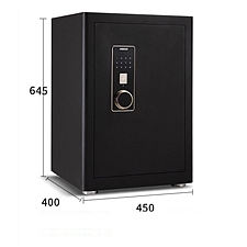 迪堡 PH系列保险柜 单门 (磨砂黑色) 指纹+密码  FDG-A1/D-63PH5Z1